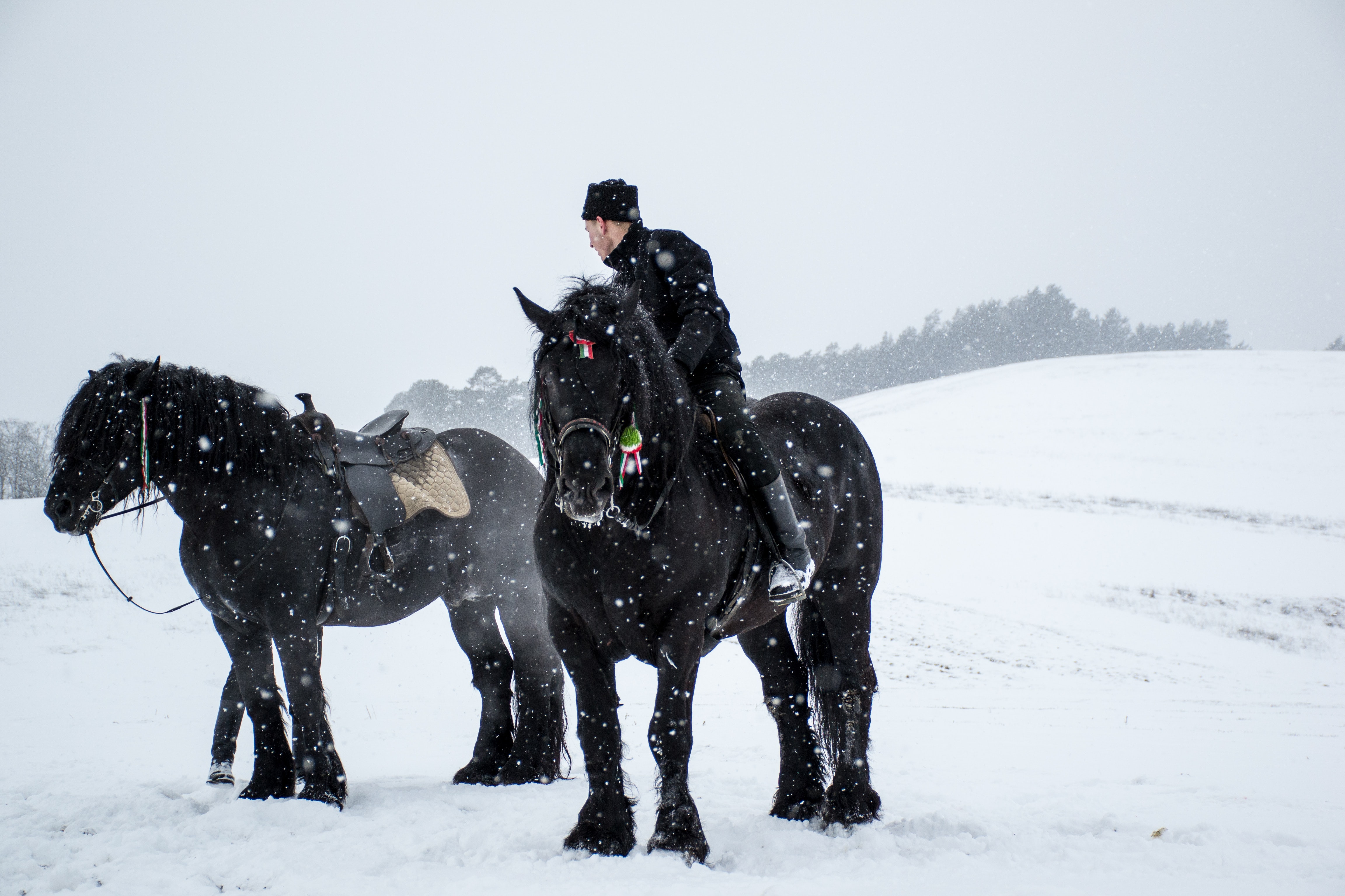 Libéré délivréééé à cheval dans la neige !