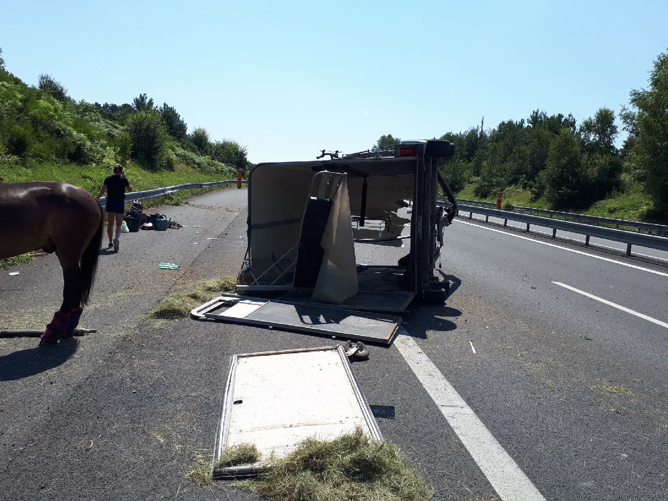Cheval Assur Specialiste De L Assurance De Votre Cheval