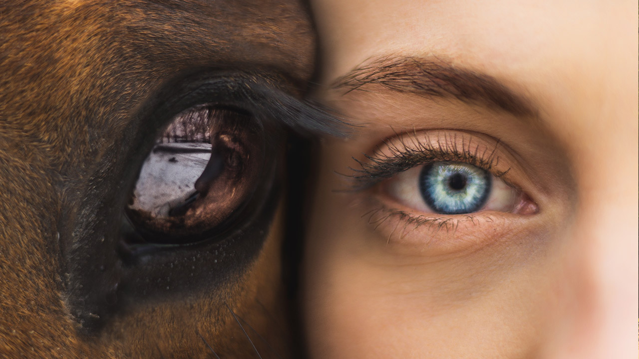 Fermeture exceptionnelle